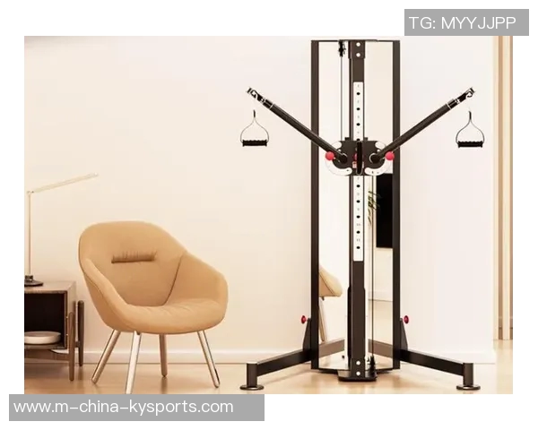 多功能室内健身器材价格分析及选购指南助你轻松健身